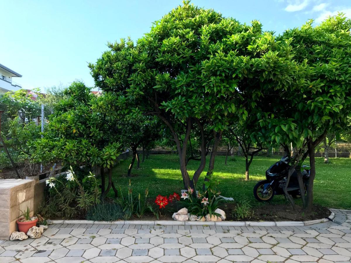 Apartments Kraja Ulcinj Buitenkant foto